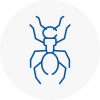 Ant Removals In Stirling