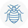 Bed Bug Extermination In Stirling