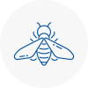 Bee Nest Removal Stirling