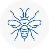 Stirling Hornet Nest Removals