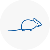 Mice Exterminators In Stirling
