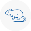Rat Control Stirling