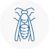 Stirling Wasp Nest Removal